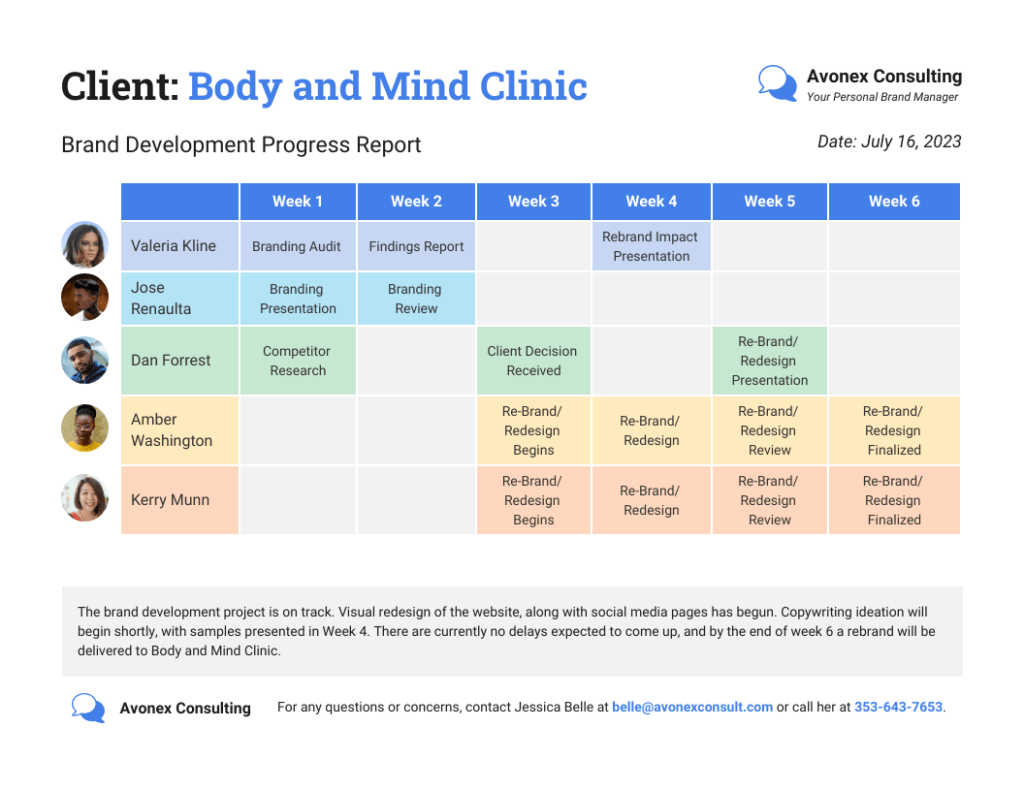 Research Project Progress Report Template