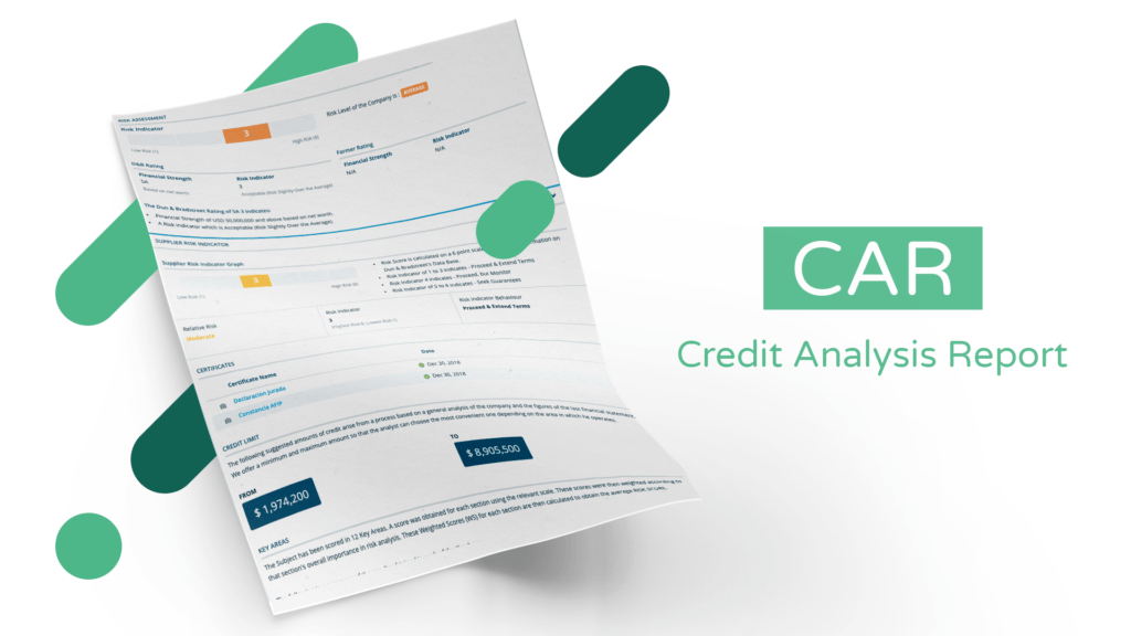 Credit Analysis Report CIAL Dun & Bradstreet With Credit Analysis ...