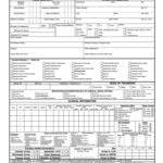 Ems Pcr Template Pdf – Fill Online, Printable, Fillable, Blank  With Regard To Patient Care Report Template