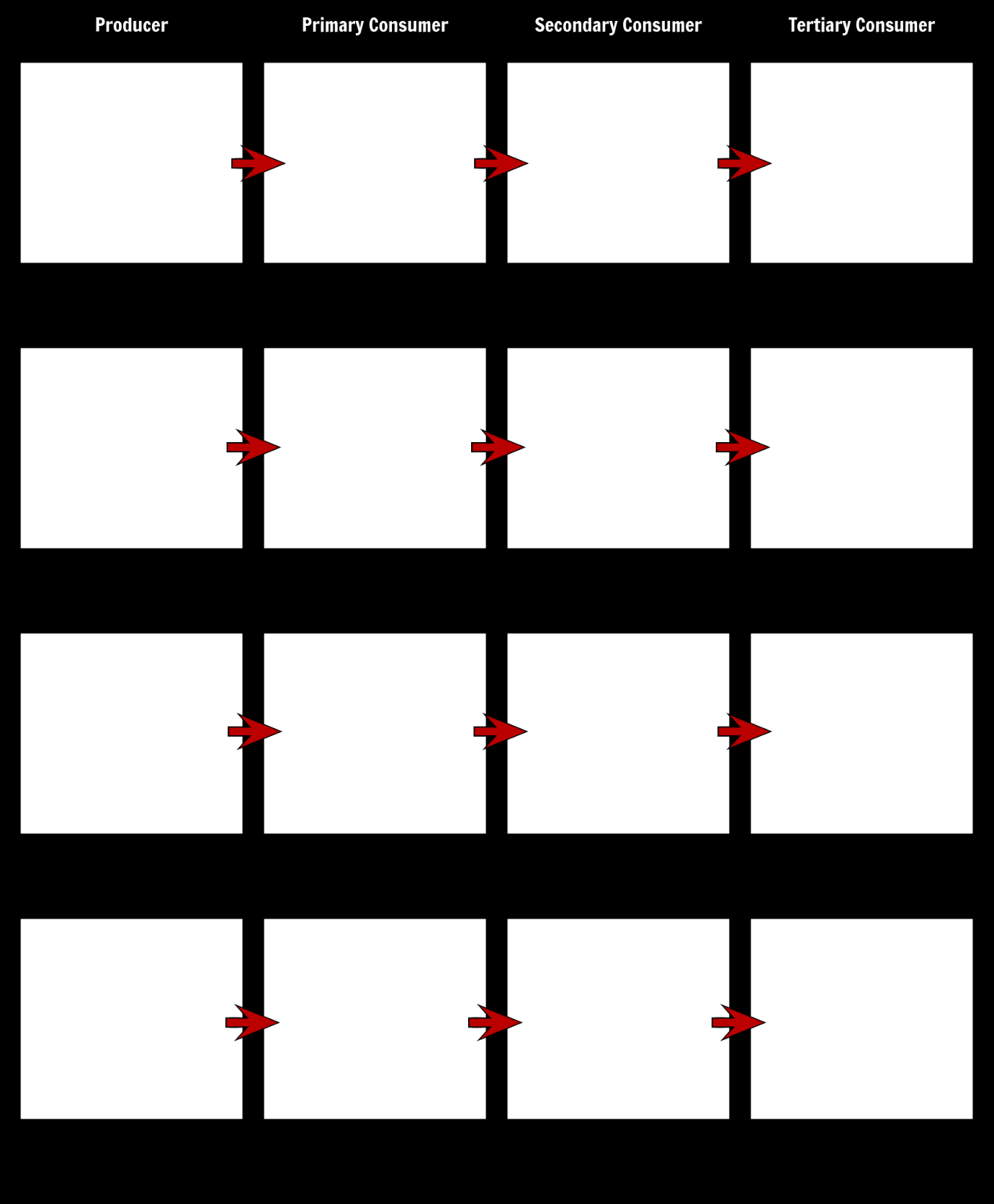 food-chain-template-storyboard-by-storyboard-templates-in-blank-food