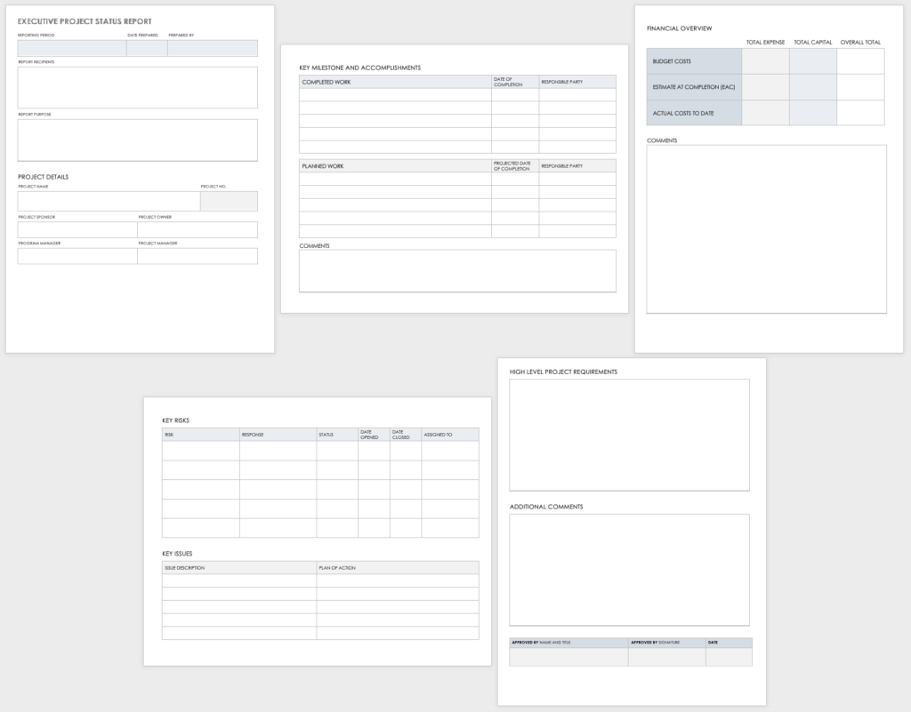 Free Executive Project Status Templates Smartsheet With One Page Status ...